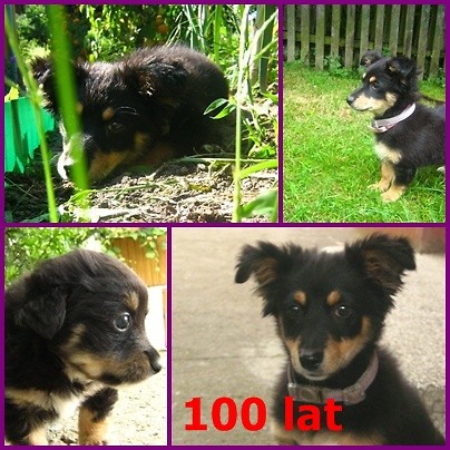 100 lat :)