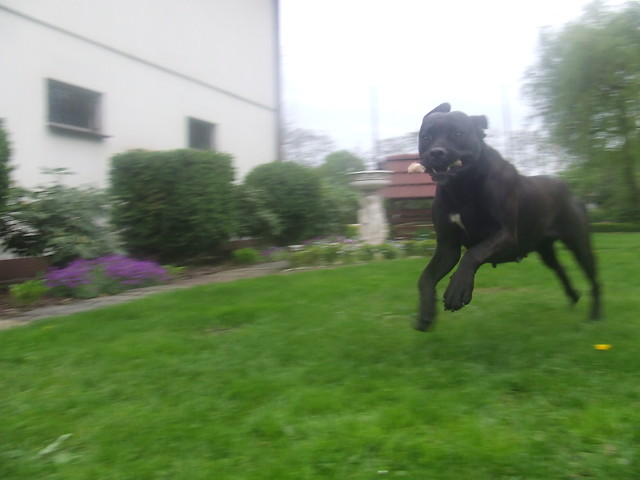 Dooorka ;***