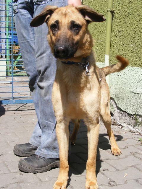 PIORUN