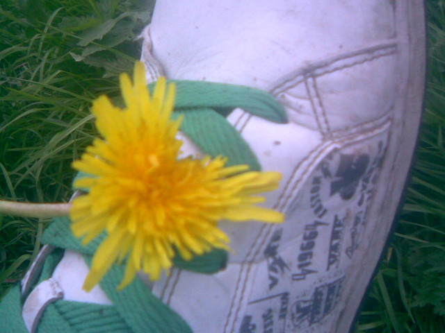 Dzikkraina . x D
