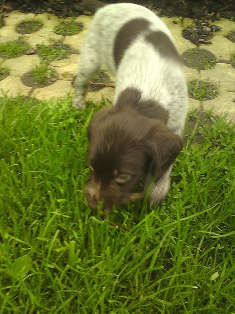 Benio! ;D