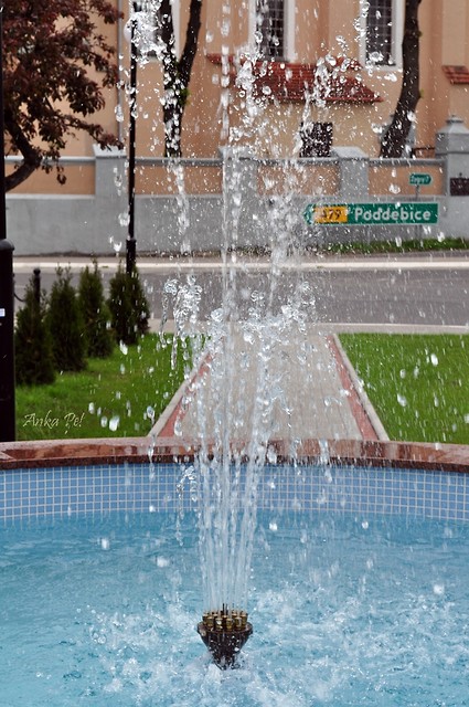  water 'cotam'