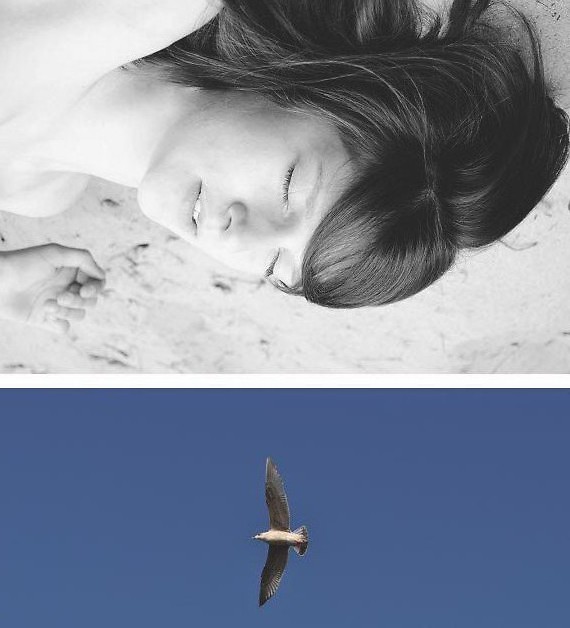 dream