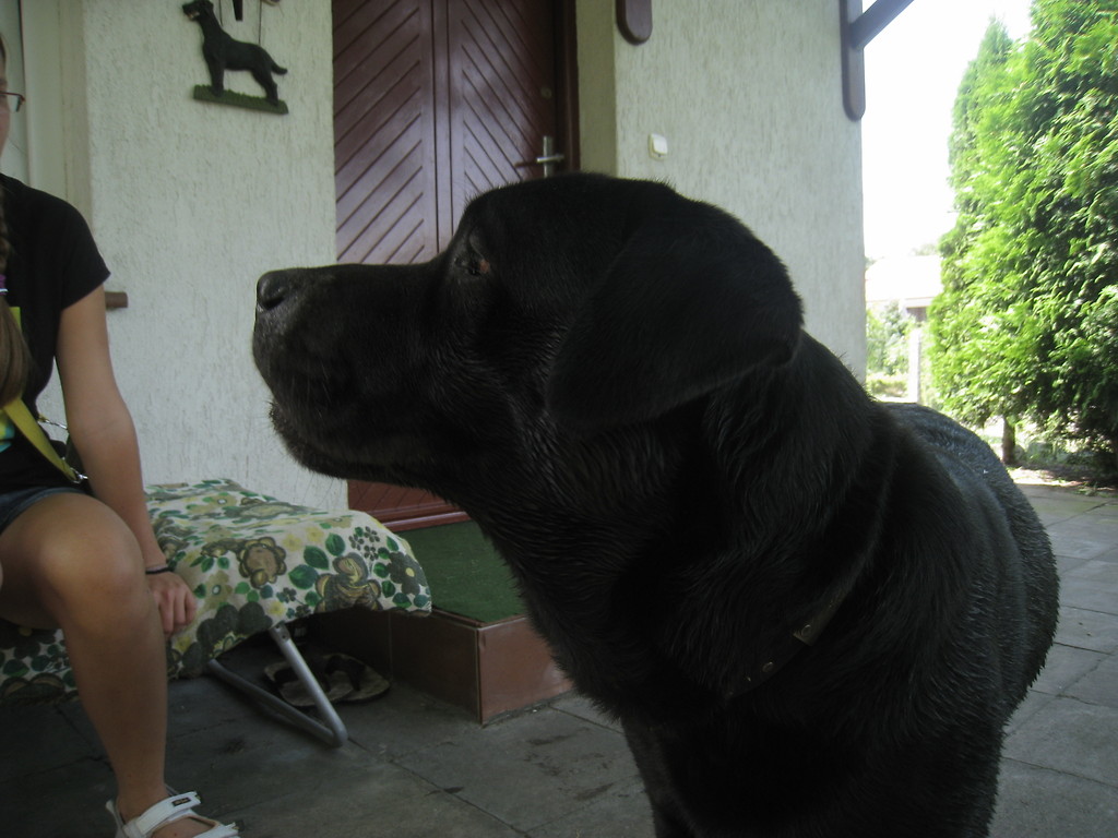 Maxio ; **