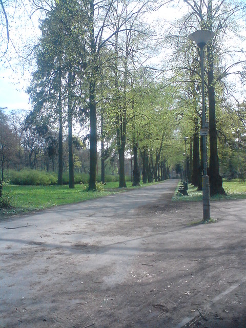 W poszukiwaniu WIOSNY...