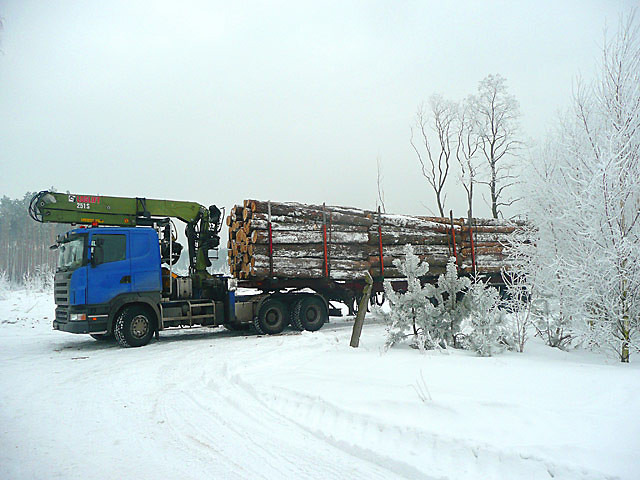 scania r500
