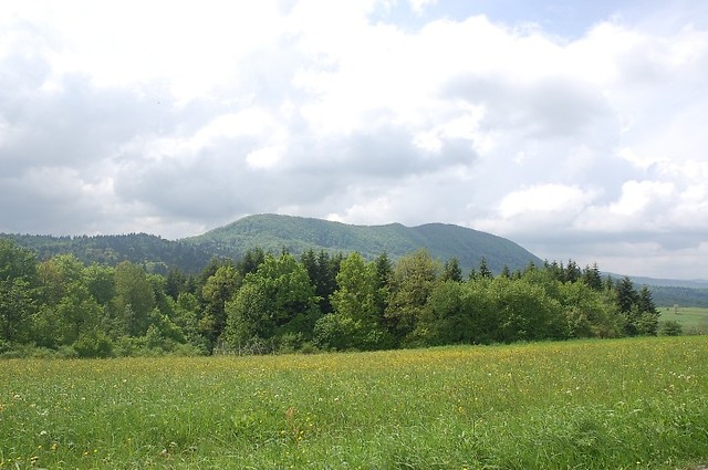 CERGOWA 