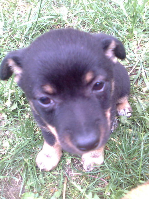 Mj kochany Tomi.