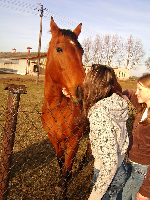 ***x Angie x***