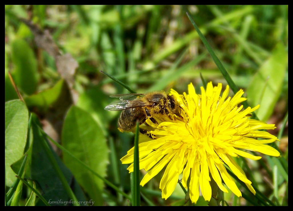 ...wiosenne...