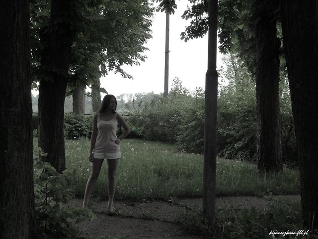 niedziela