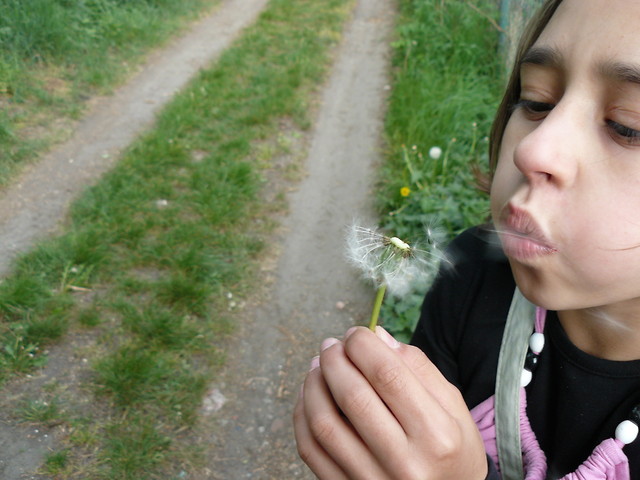 moje fotki 