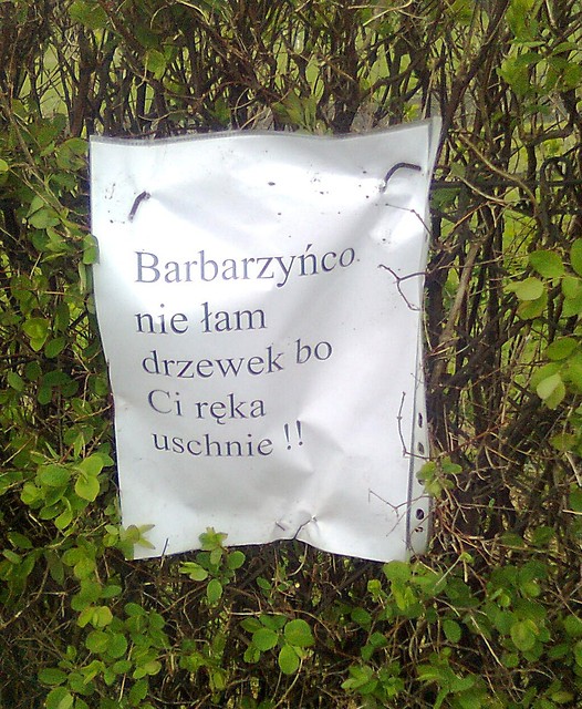 no i w pizdu wyldowa. 