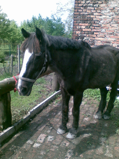 Lalunia :))