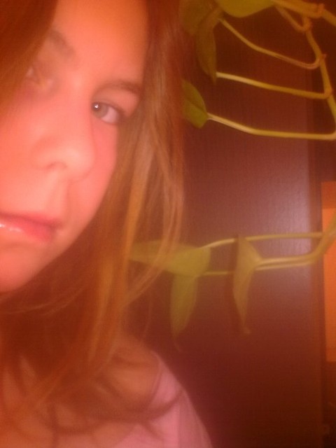Rolinkowo... ;O