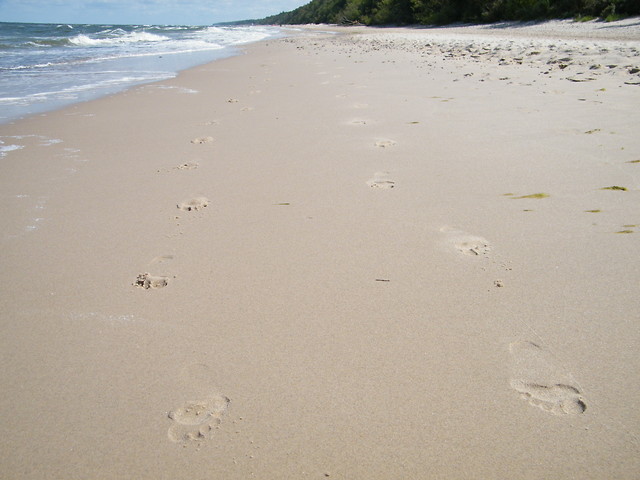 footsteps