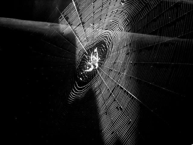 spider man