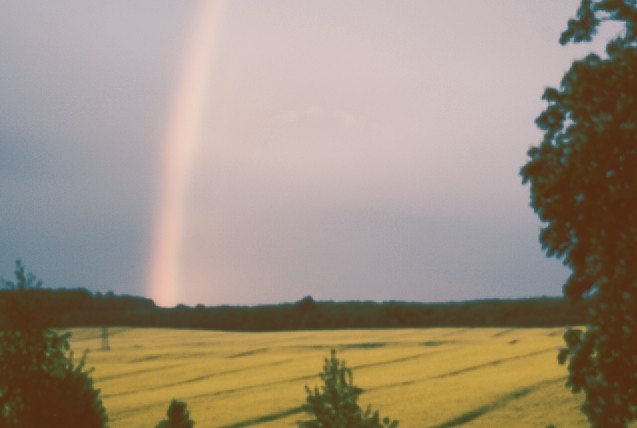 roczkujemy.