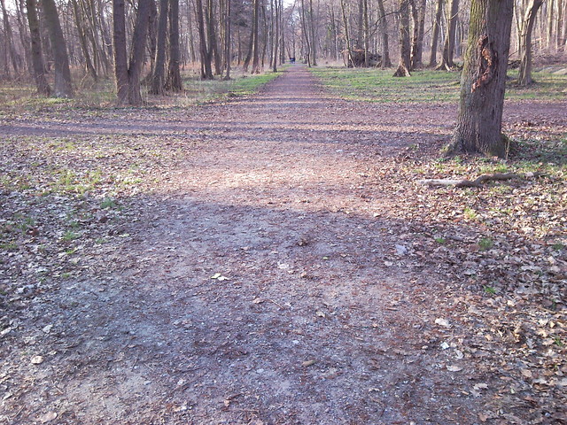 Crossroads...