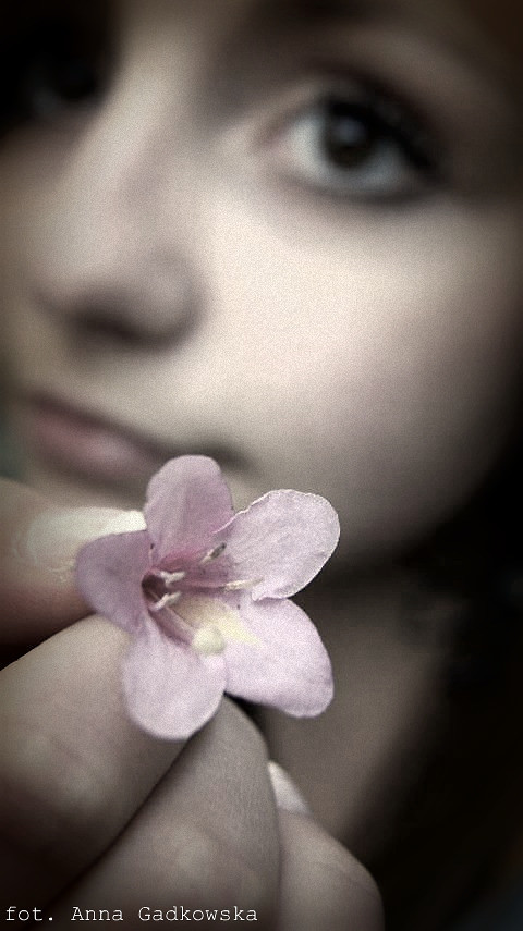 Frusia.