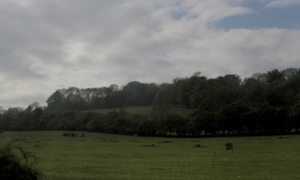 Anglia.