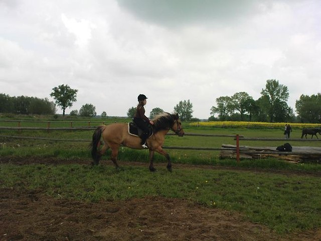 Galop ;] 
