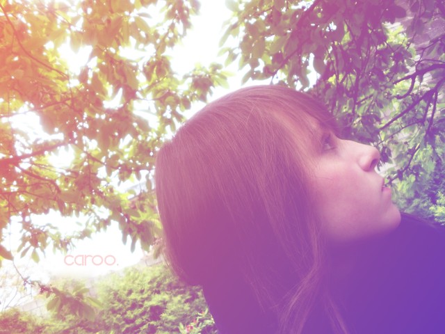 caroo.