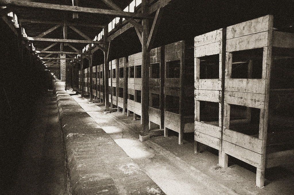 Auschwitz 