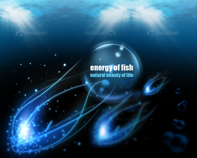 Energy of Fish