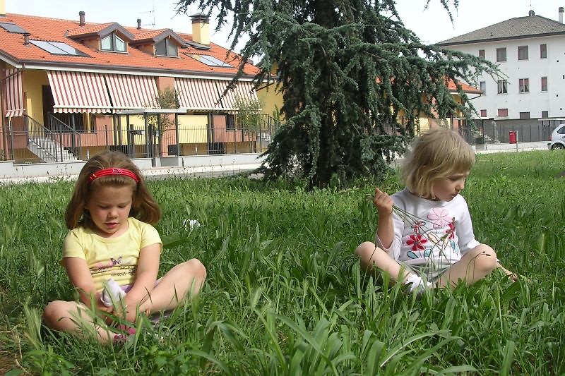 Magenta, maj 2010