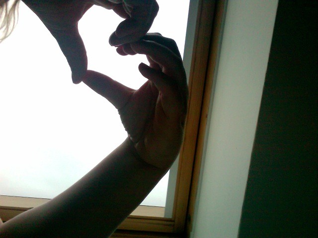 where does the love comes from?