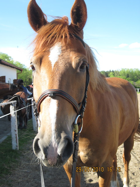 Wojtu ;*