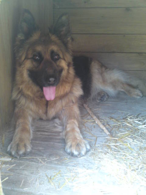 Nomi