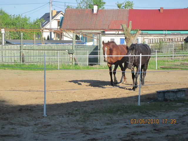 Heksa ;*