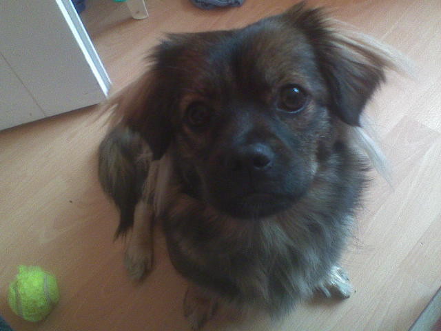 Nika.