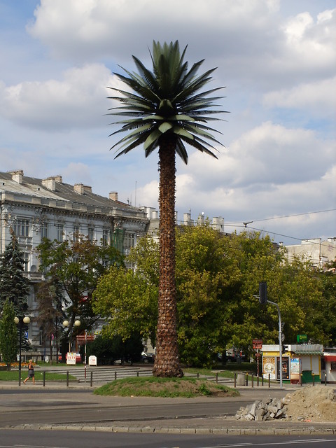 mrrr.. te klimaty