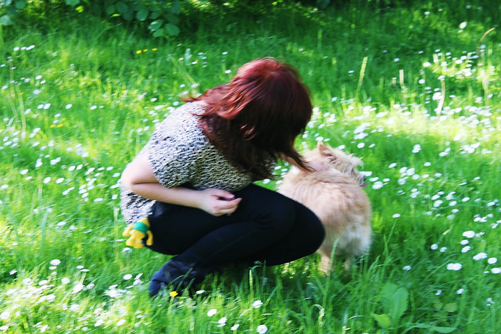 Z tof !:D 
