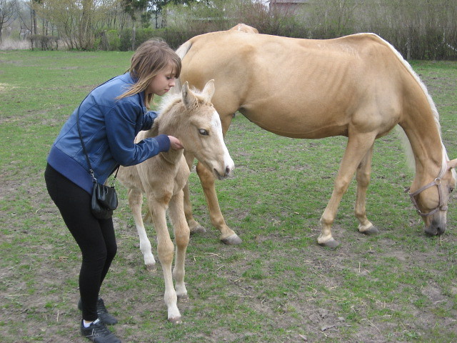 Twister ; ) 