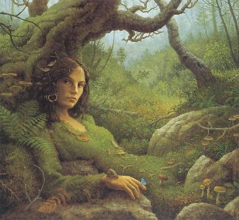 magic forest