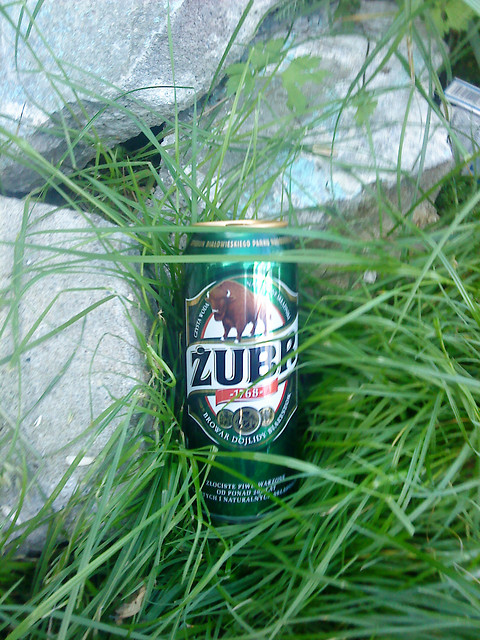 ubr w trawie Poligonu
