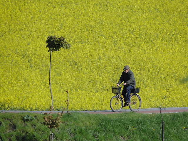 Dziadek na rowerze :)