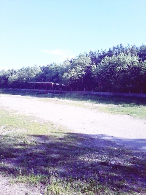 c .