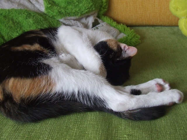 Lena