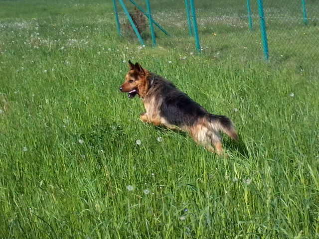 Hejka ;)