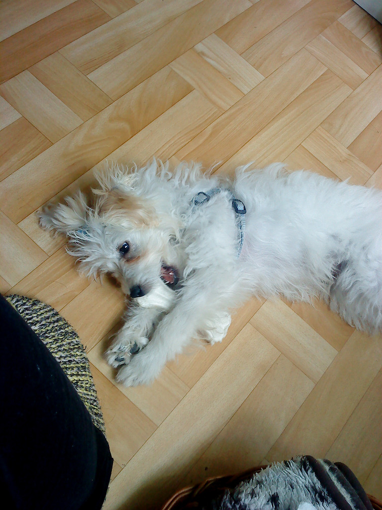 Binku:)