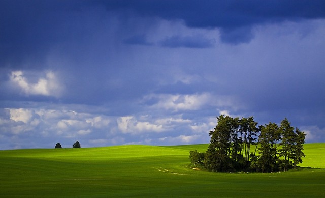 Wiosna.