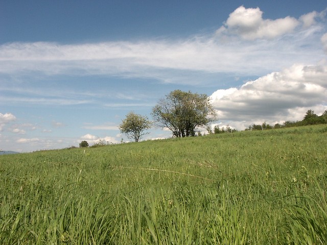 1.