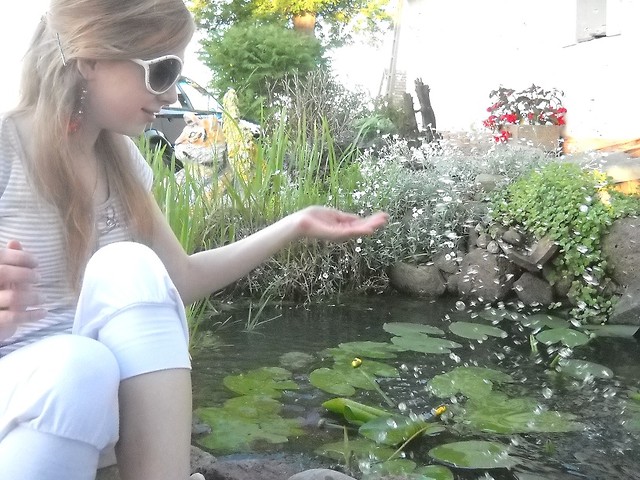 koniec 
