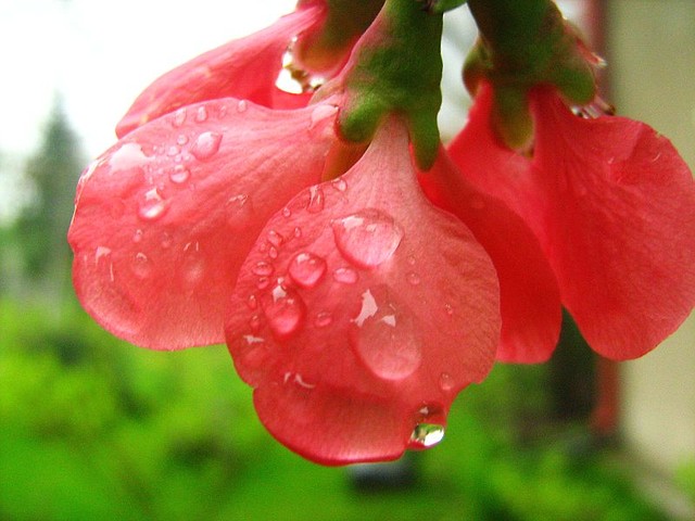 # 378.