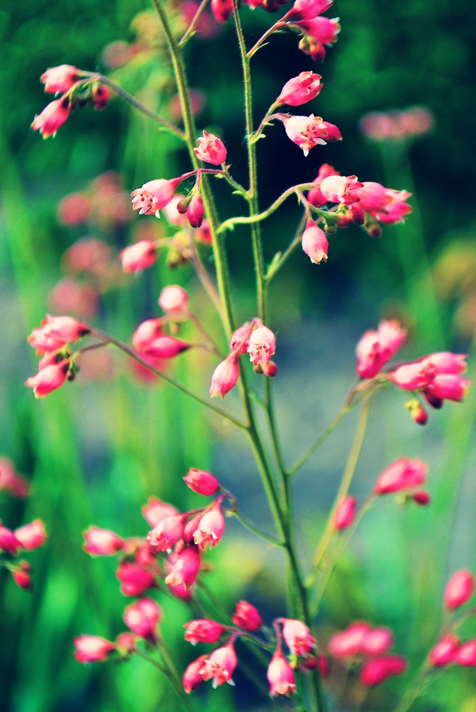 life's beautiful ! 